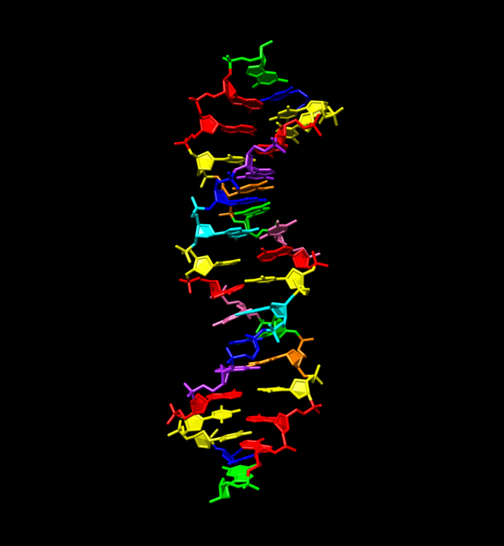 Visualization of woven strands of a molecule resembling DNA.
