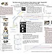"The Secondary Ion/Accelerator Mass Spectrometer, MegaSIMS: Integration and Preliminary Results" Poster (small)