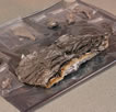 Photo of pieces of the Genesis spacecraft lid foil in pieces from the impact site (small)