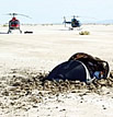 Crash site picture with two helicopters (small)