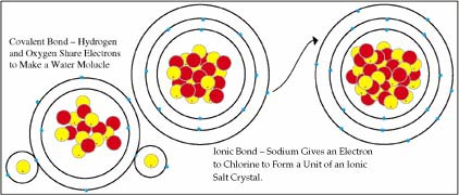 Model of Covalent and Ionic Bonds