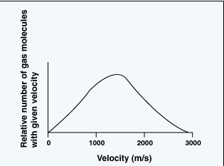 Velocity distribution of particles