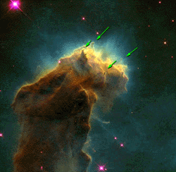 clouds of gas or adult stars