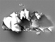 An SEM image of an embedded particle in SiOS 