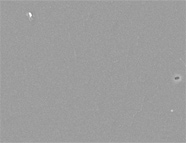 SEM image of Genesis sample 60236, imaged with secondary electron detector