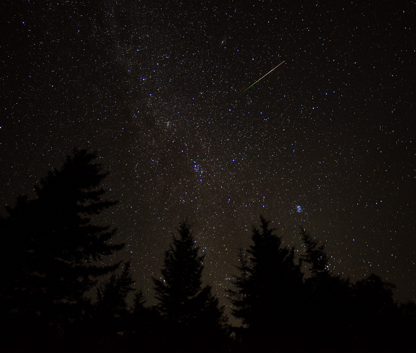 Meteor streak over a forest.