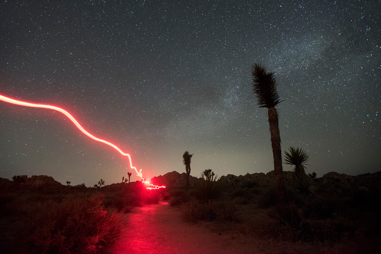 Light trail on a path in Joshua Tree National Park.