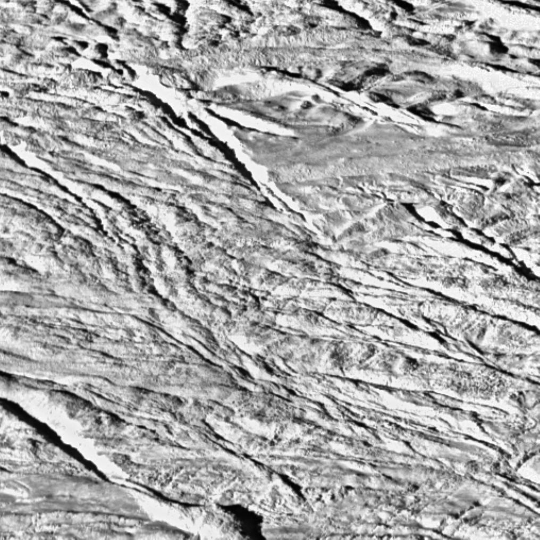 Boulders on surface of Enceladus