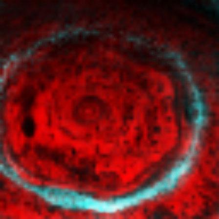 Infrared image of Saturn hexagon