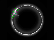 A map of Saturn's F ring from 2006 shows one of the few bright,
