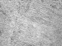 Fensal dunes on Titan