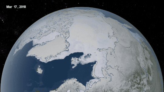 Global animation of diminishing sea ice.