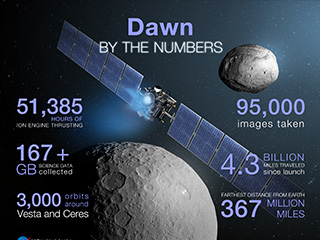 Dawn By the Numbers Infographic