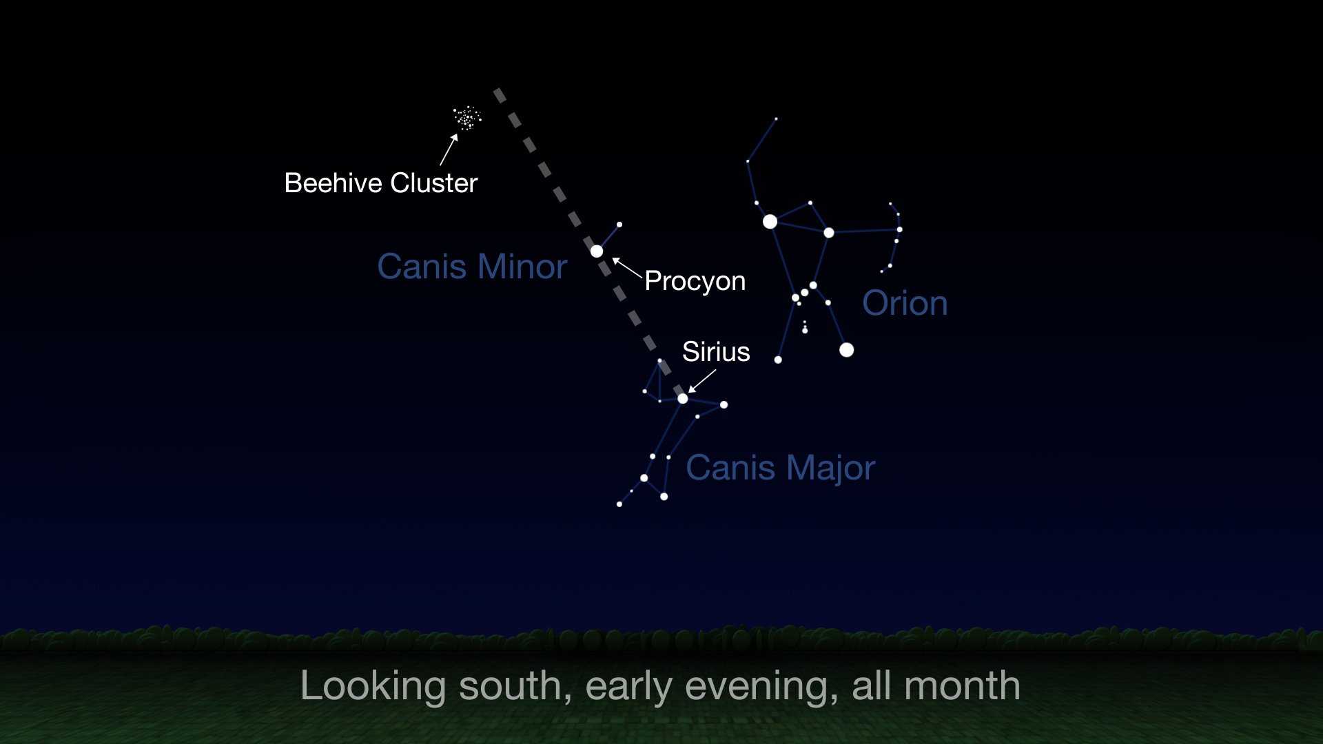 The Beehive Cluster is high in the sky to the south all of March.