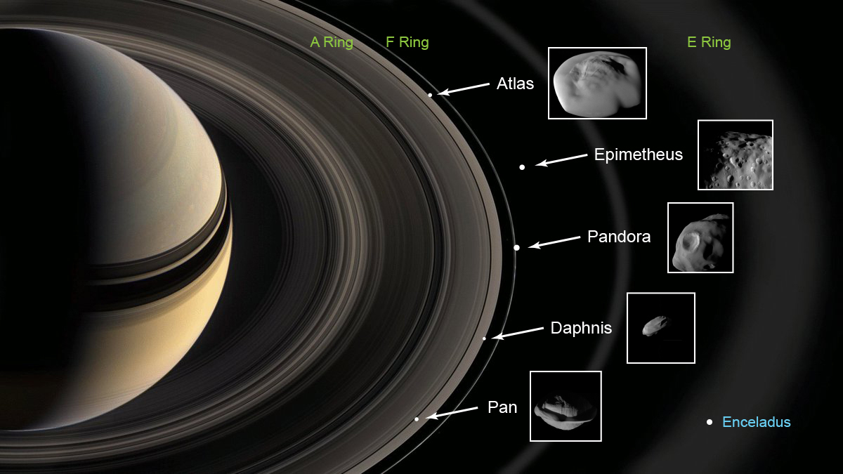 Labeled graphic showing locations of five moons within Cassini&#39;s rings - from top to bottom Atlas, Epimetheus, Pandora, Daphnis and Pan.