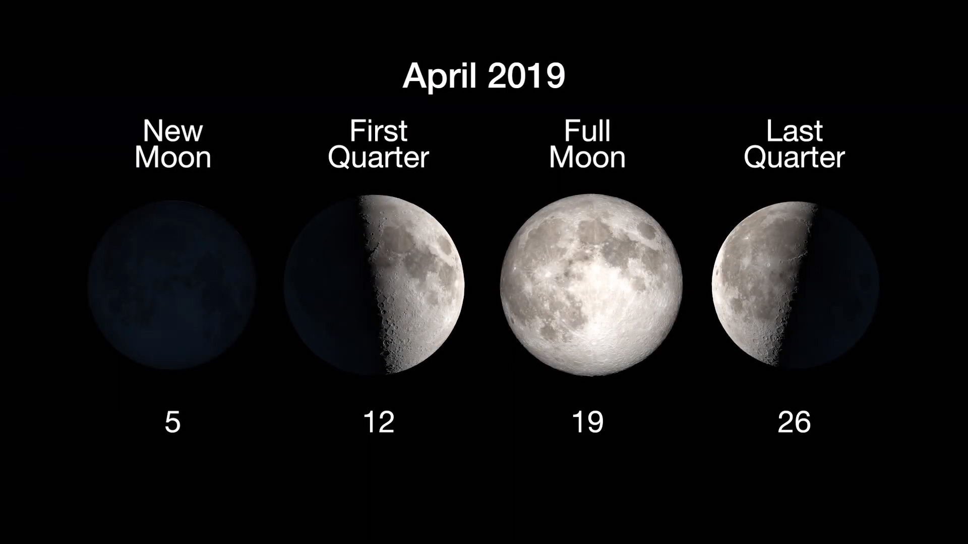 Moon Phases: New Moon, April 5, first quarter April 12, Full Moon April 19, last quarter, April 26.