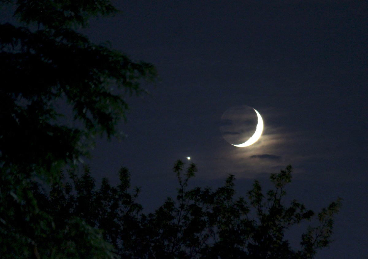 Crescent moon and Venus over trees.