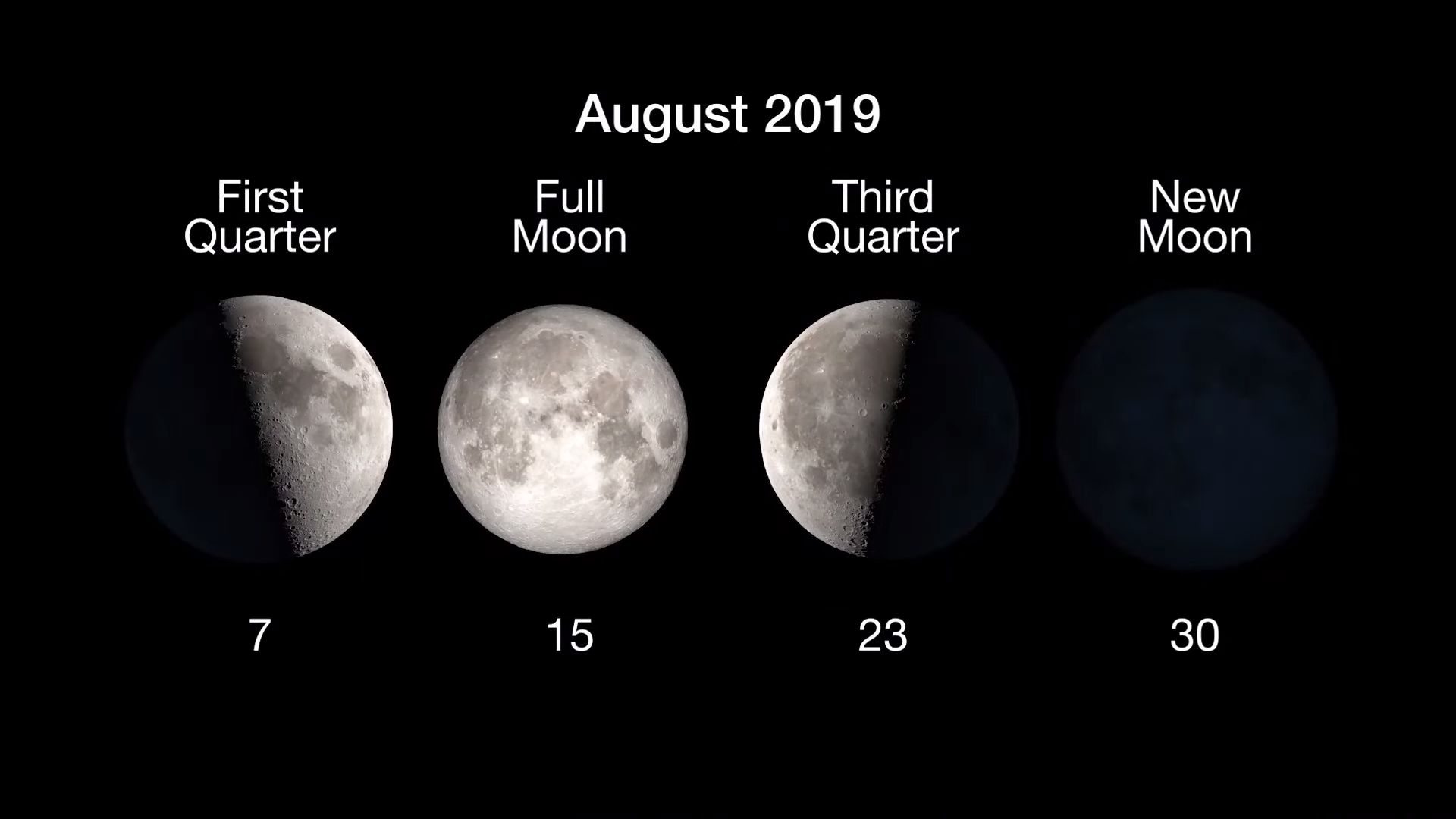 Graphic illustrating Moon phases: 1st Quarter, Aug. 7, Full Moon, Aug. 15. 3rd Quarter Aug. 23 and New Moon, Aug. 30.