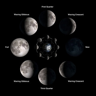 Illustration showing the eight phases of the Moon.