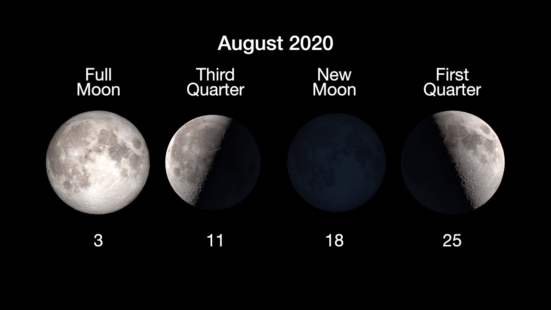 Graphic showing dates for the different phases of the Moon in August 2020.