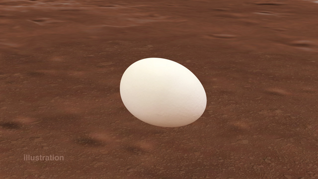 Egg on Mars