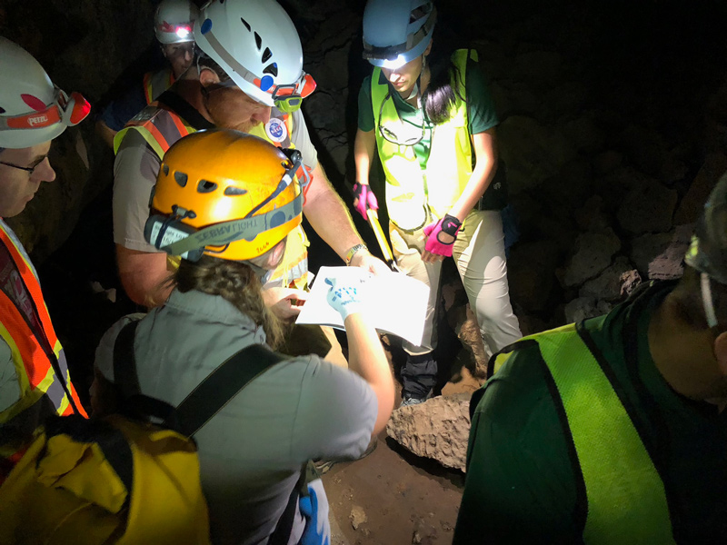 Researchers wearing helmets and headlamps refer to a notebook in a dark, underground cave.