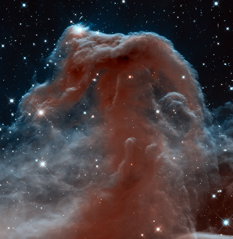 Hubble Horsehead Nebula