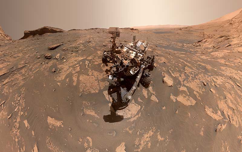 Curiosity Selfie