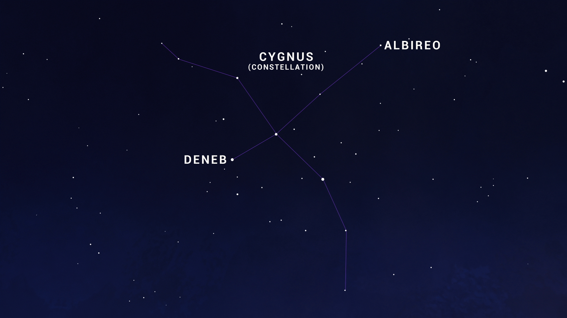 Cygnus constellation labeled