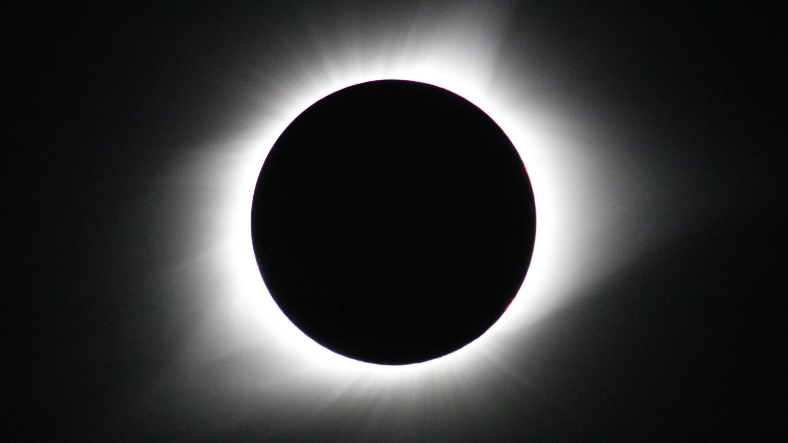 Total Eclipse 2024 - Feb 2024 Calendar