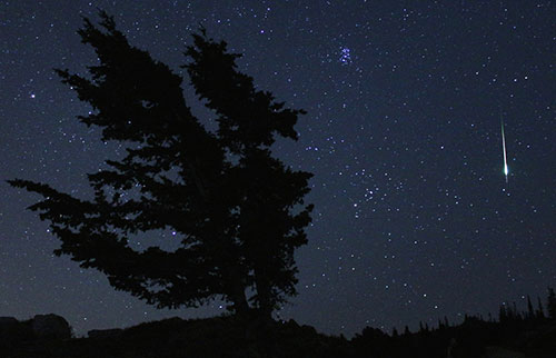A bright meteor lights up the dark sky. Trees are marked in dark silhouette.