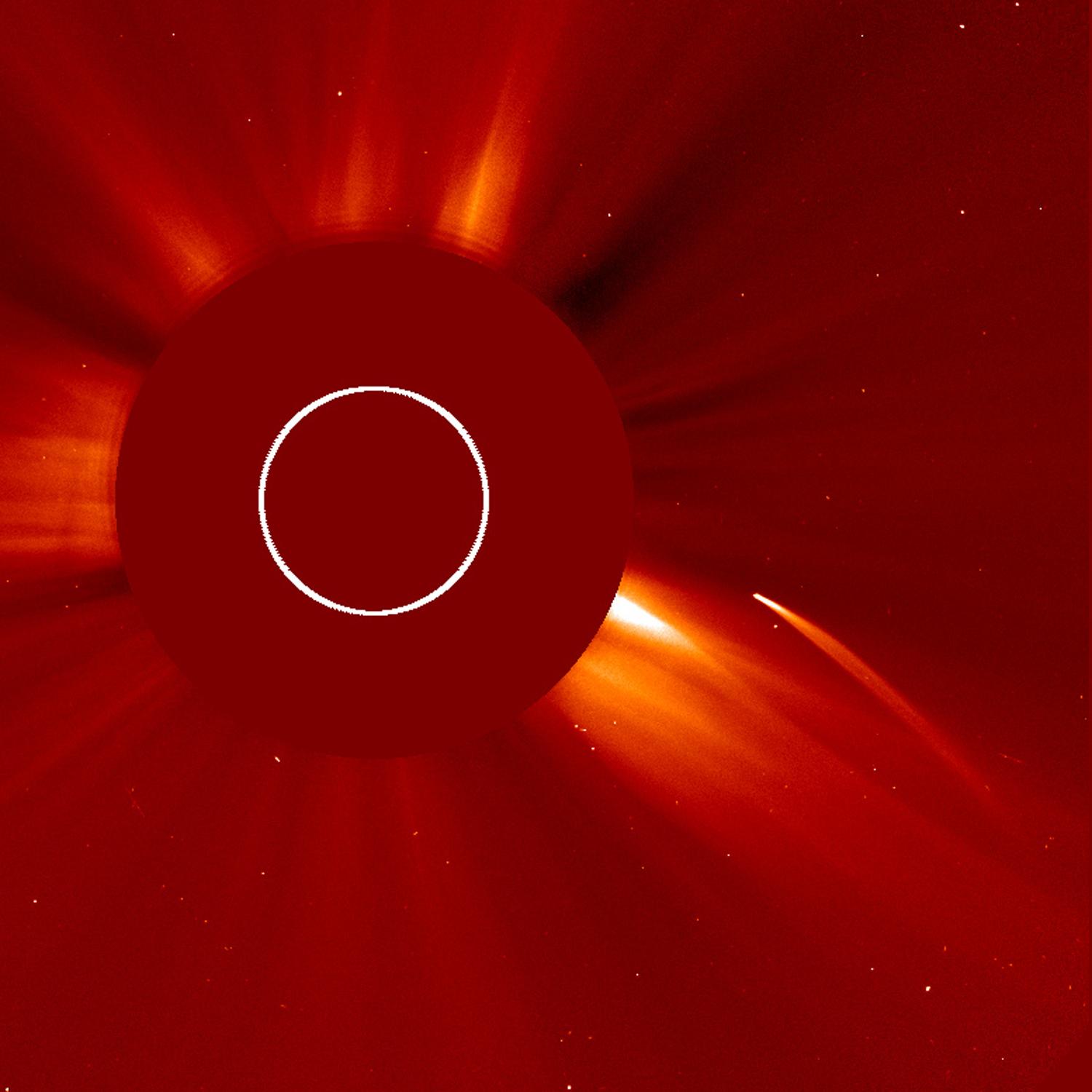 Comet diving toward the Sun