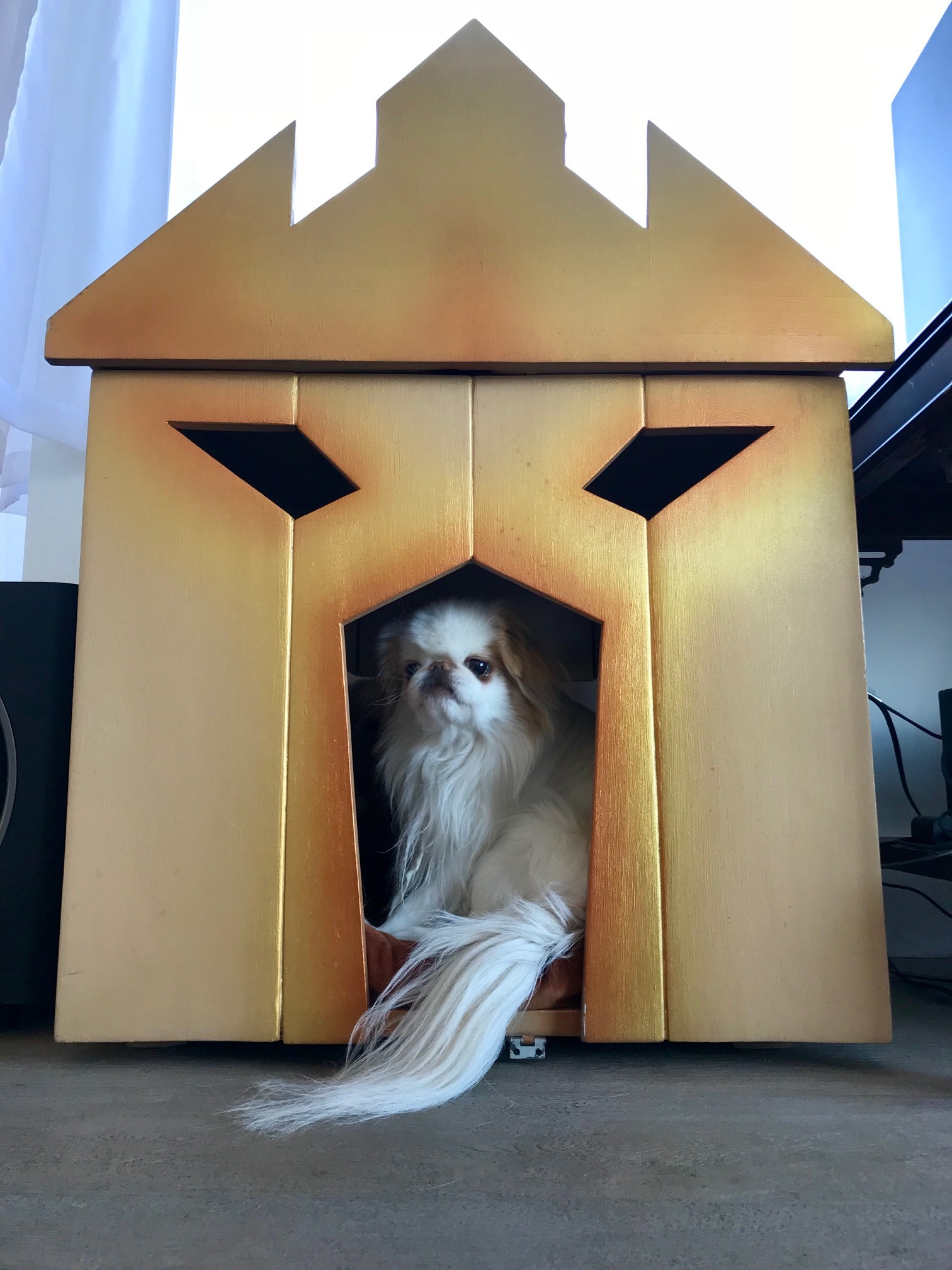 Michelle built this dog house for her dog.