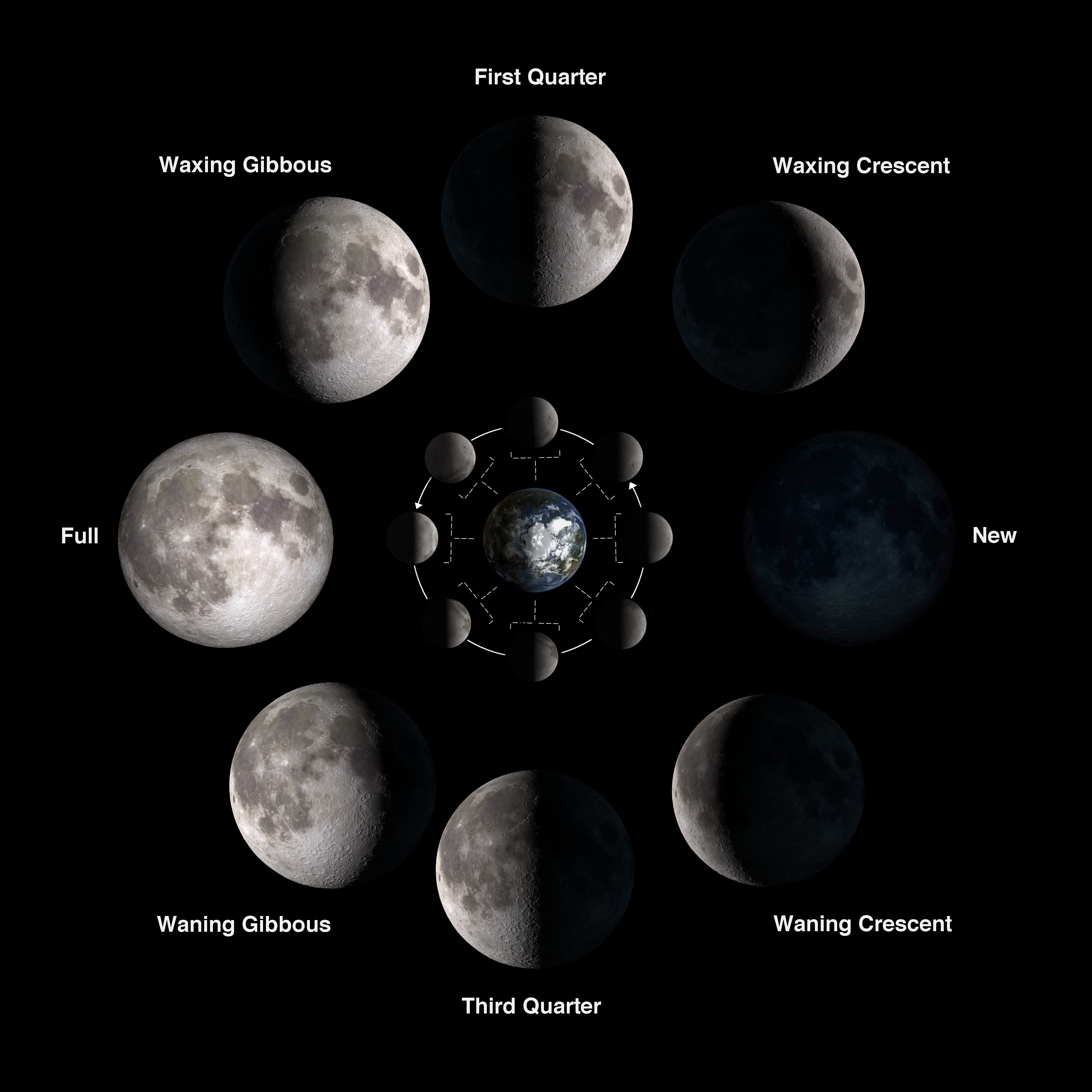 Solar System Exploration Multimedia Gallery Phases of the Moon