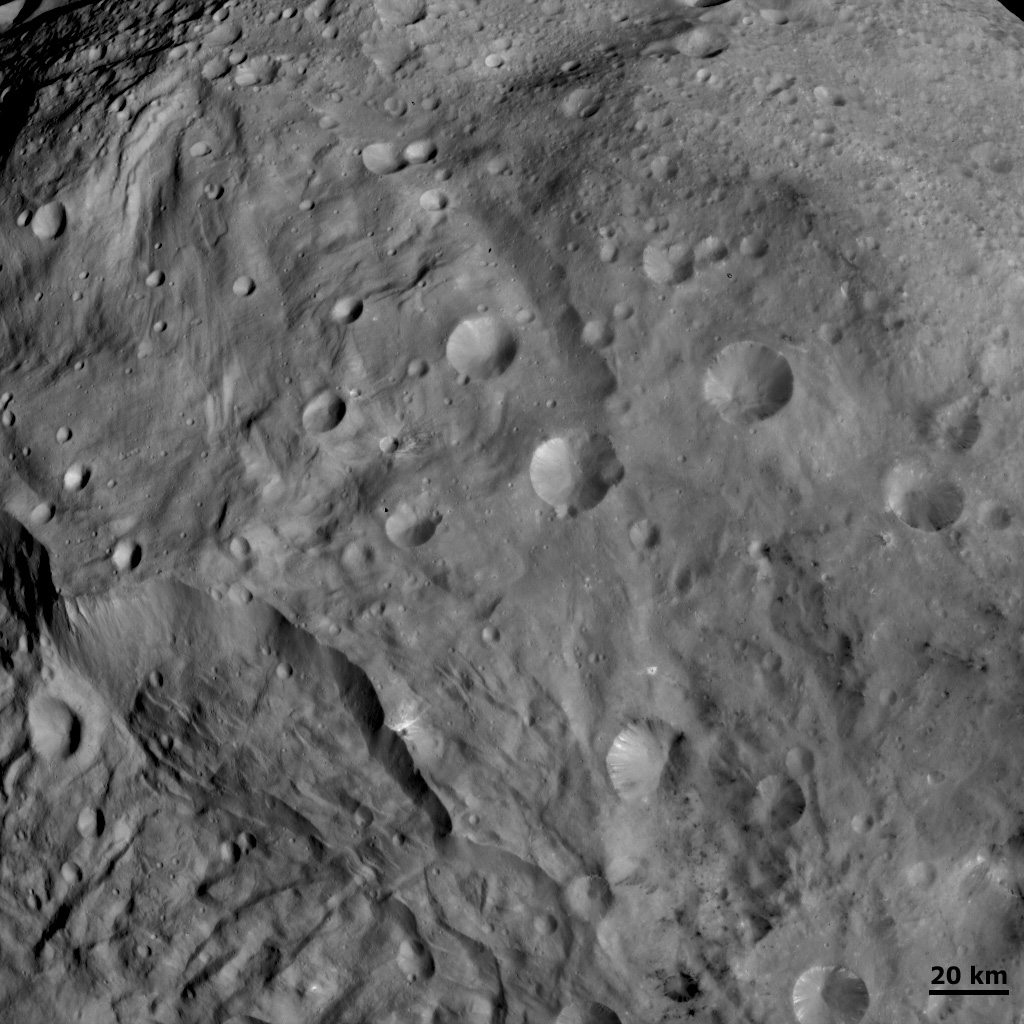 Unusual craters on Vesta I