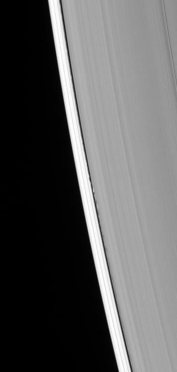 Edge waves in Saturn's rings