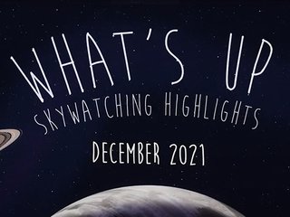 What's Up: December 2021