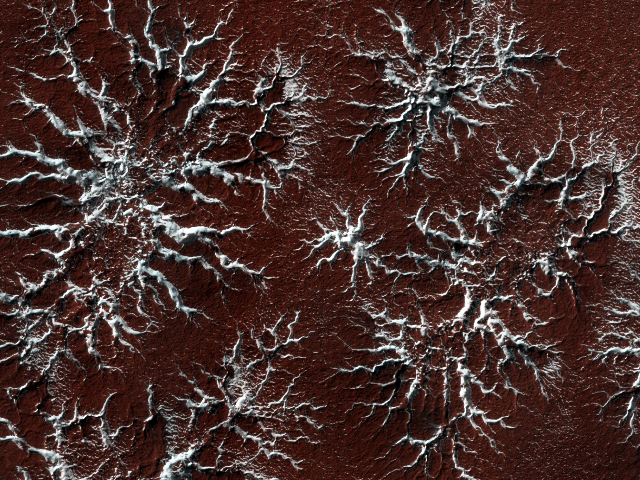 Spidery ice formations on the surface of Mars as seen from orbit.