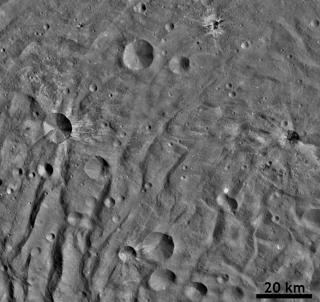 Ray Craters in Vesta's South Polar Region