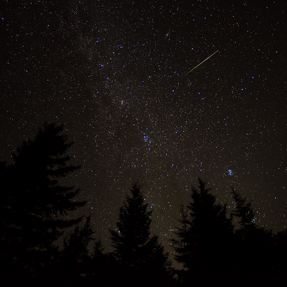 In this 30 second exposure, a meteor streaks across the sky during the annual Perseid meteor shower Friday, August 12, 2016 in Spruce Knob, West Virginia.