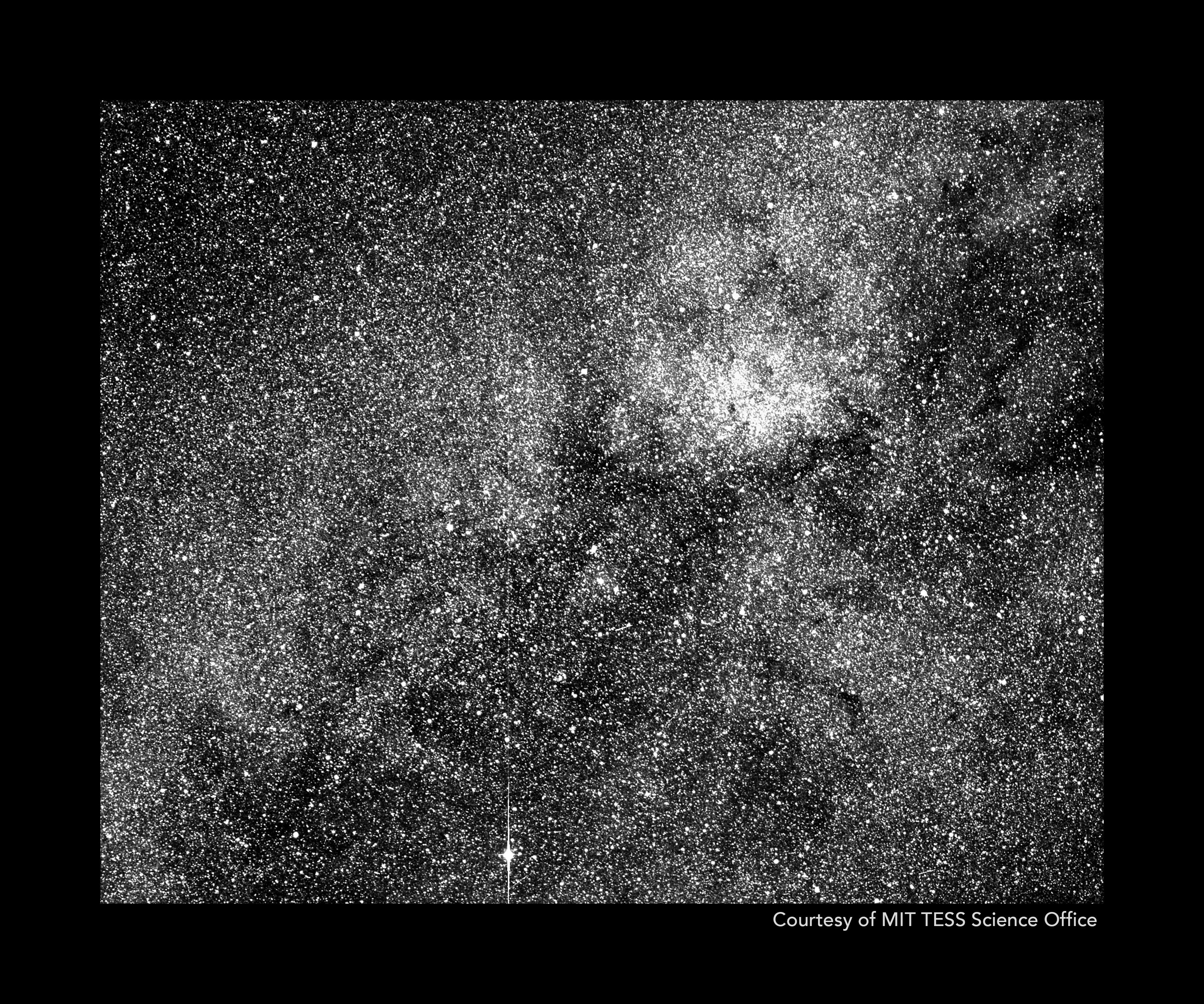 Black and white image packed with stars.