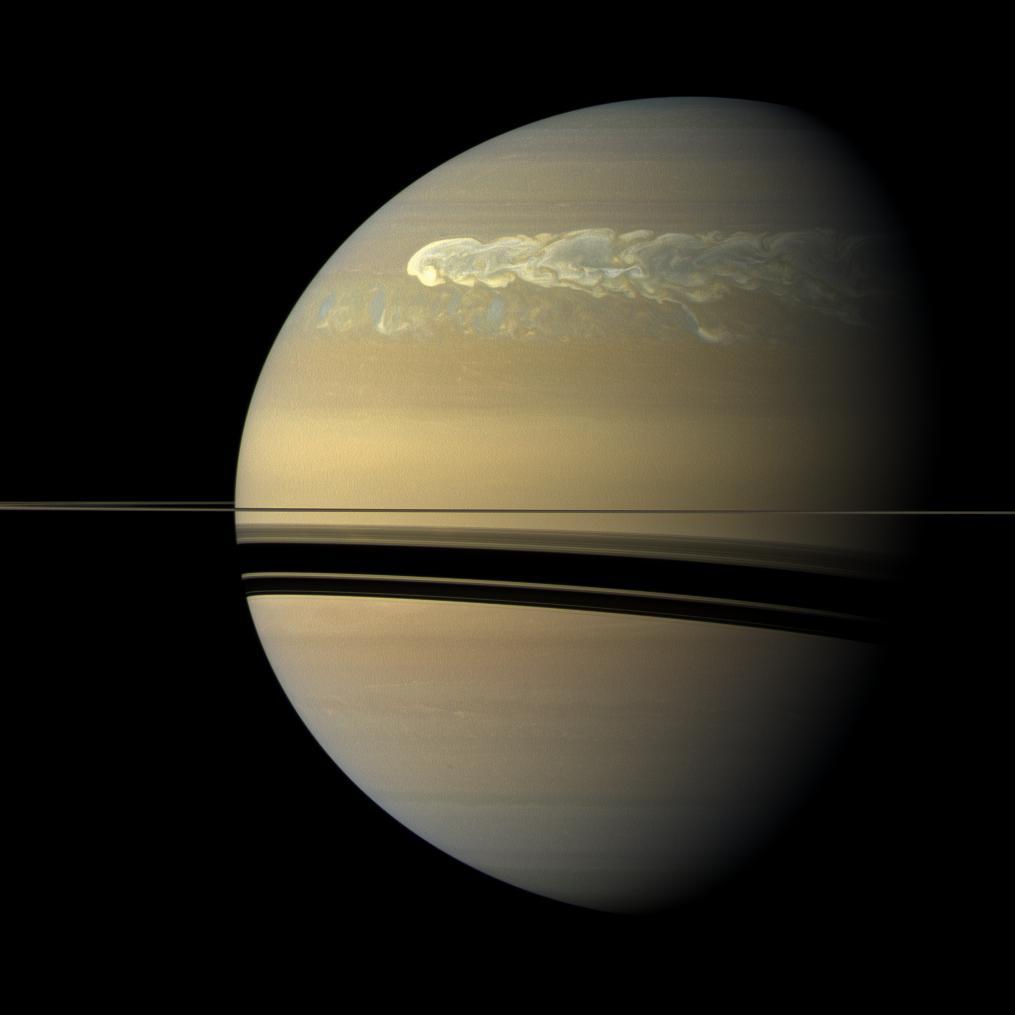 The huge storm churning through the atmosphere in Saturn's northern hemisphere overtakes itself as it encircles the planet in this true-color view from NASA’s Cassini spacecraft.