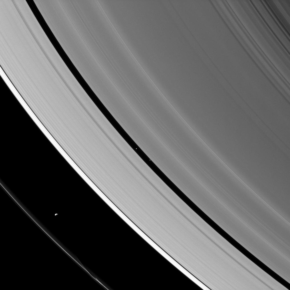 The ring-region Saturnian moons Prometheus and Pan and Saturn's rings