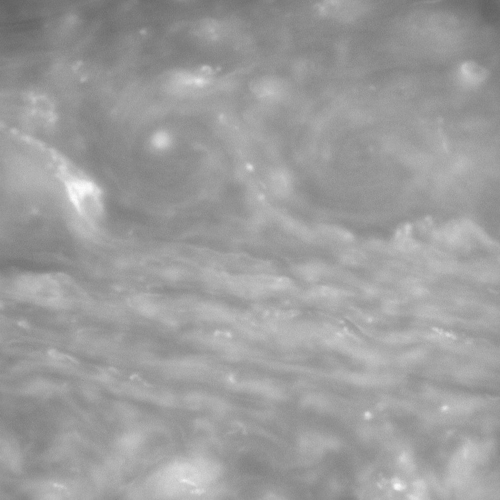 Clouds of Saturn
