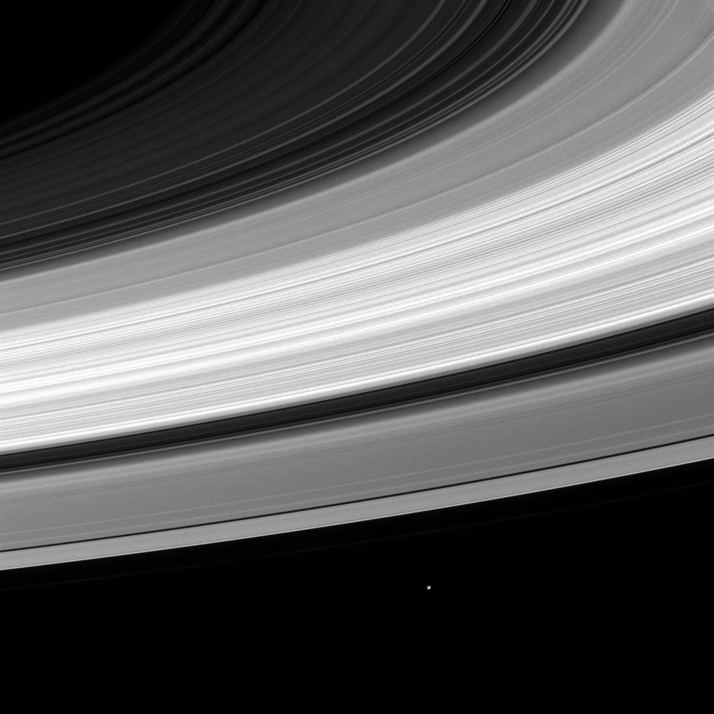 Janus is a tiny dot below the vast expanse of Saturn's rings in this black and white image.