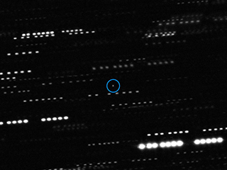 Telescope Image of 'Oumuamua 