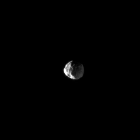 Janus