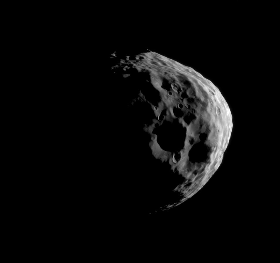 Janus