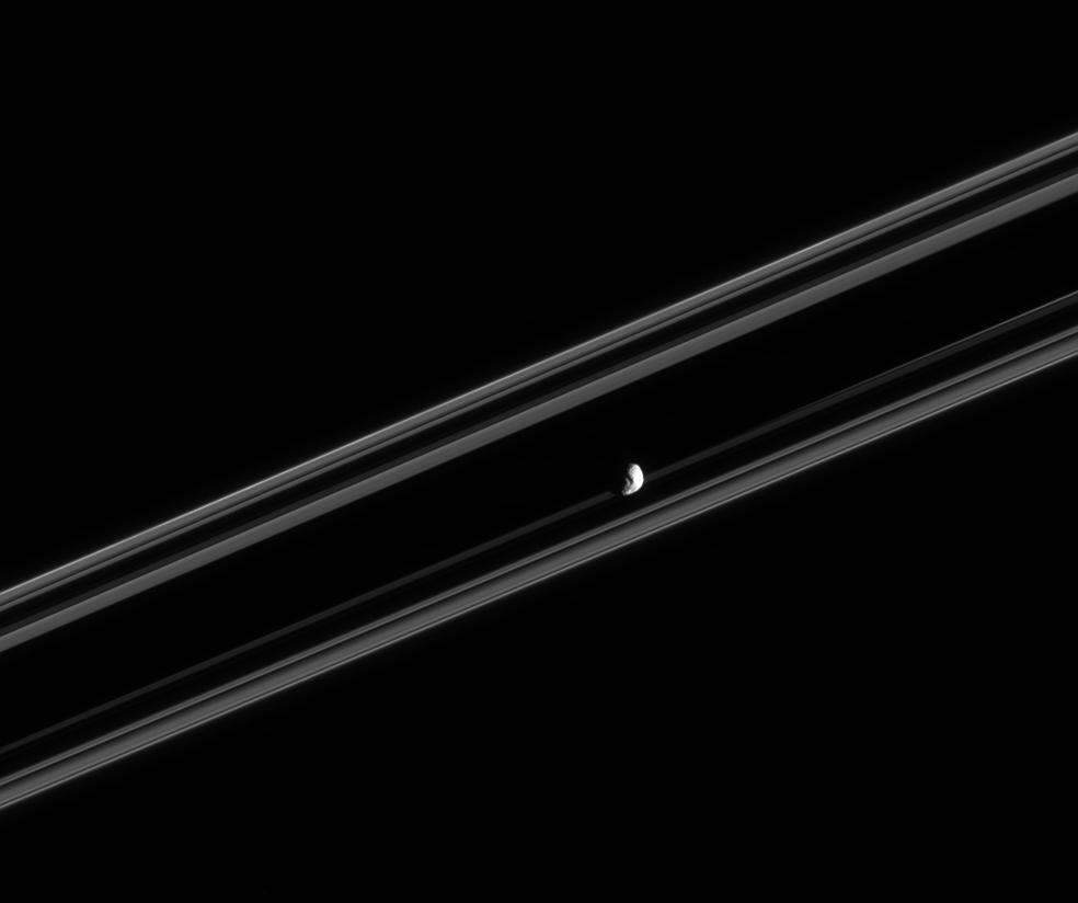 Saturn's moon Janus and the rings edge-on