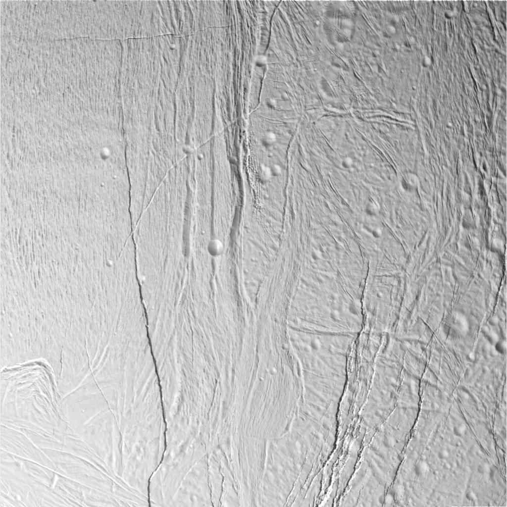 Close-up view of Enceledus